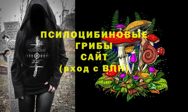 spice Балабаново